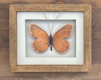 Copper Sculpture, Etched Copper Butterfly, Framed Wall Decor, Shadowbox, Botanical Nature Art made to order in the USA by daartshop
