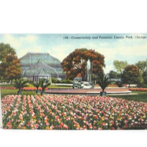 Vintage Chicago Linen Postcard Lincoln Park Conservatory and Fountain