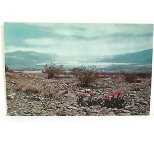 Vintage California Postcard Hell's Gate Death Valley National Monument