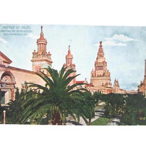 Antique California Postcard Avenue of Palms Panama Pacific International Exposition San Francisco 1915
