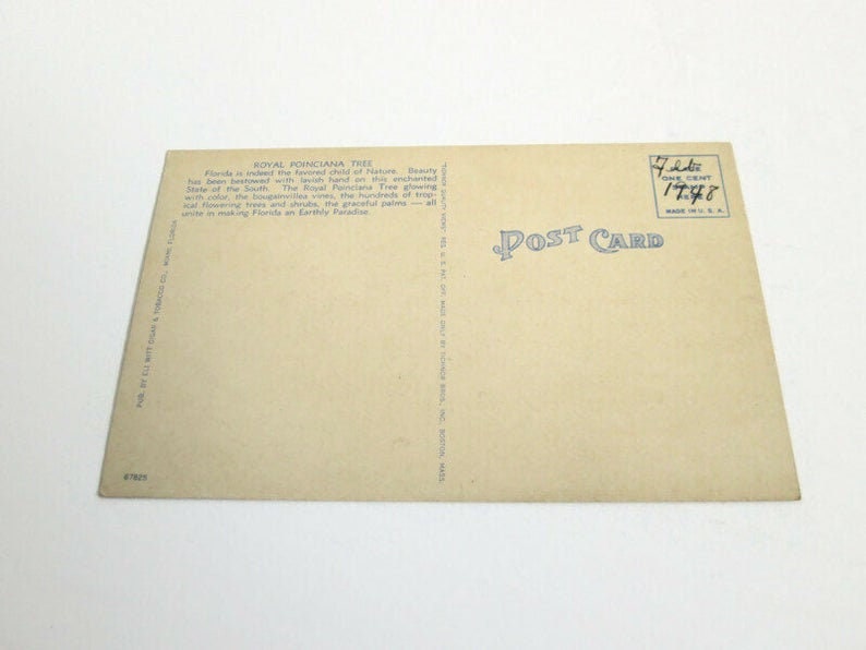 Miami FL 315 Florida Post Card Tichnor Bros Quality Views 67825 Eli Witt Cigar /& Tobacco Co Royal Poinciana Tree