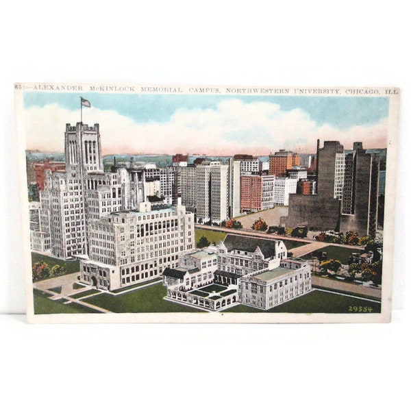 Antique Chicago Illinois Postcard Alexander McKinlock Memorial Campus Northwestern University