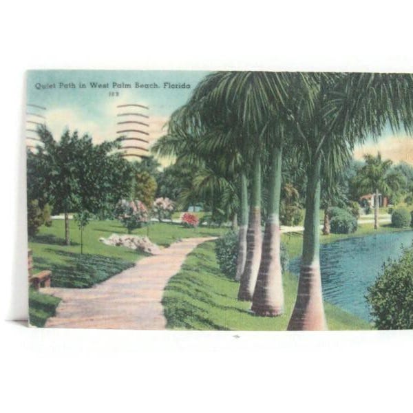 Vintage Linen Postcard Quiet Path in West Palm Beach Florida