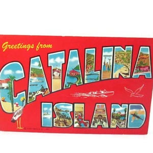 Vintage Curt Teich & Co. Postcard Greetings from CATALINA ISLAND