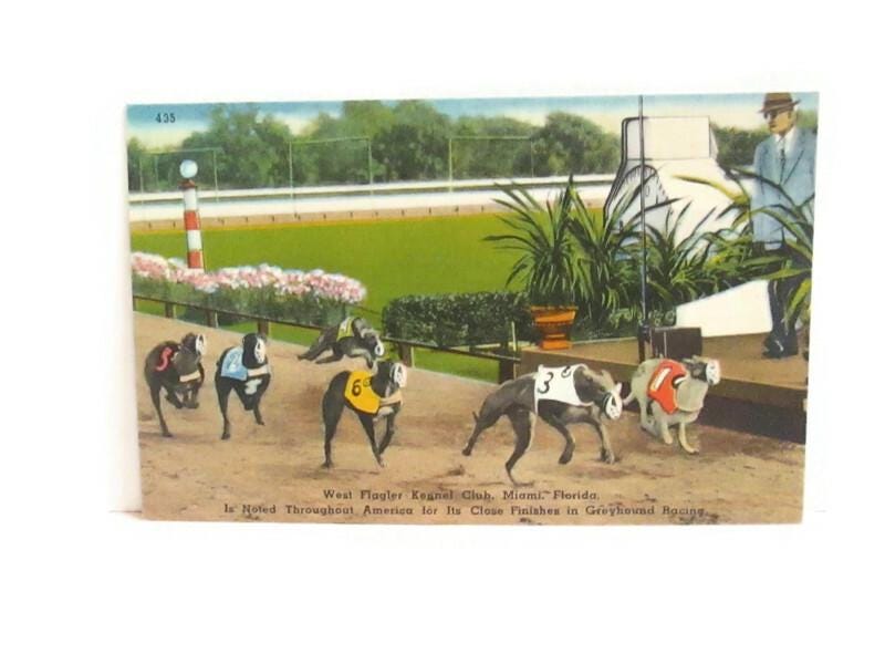 Greyhound Racing Memorabilia