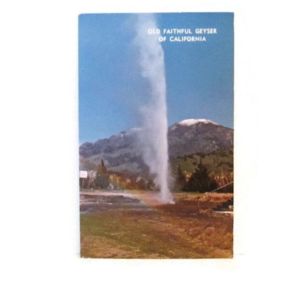 Vintage Postcard Old Faithful Geyser of California