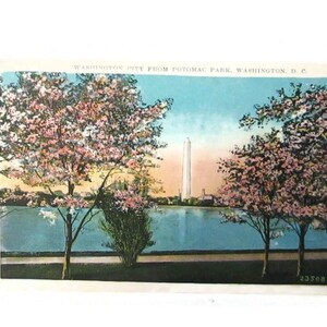 May include: A vintage postcard featuring a colorized illustration of the Washington Monument in Washington, D.C., viewed from Potomac Park. The scene includes cherry blossom trees in bloom along the water, with the text WASHINGTON CITY FROM POTOMAC PARK, WASHINGTON, D. C. printed at the top.