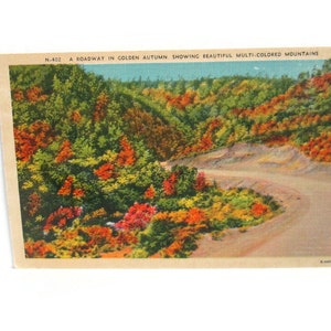 Vintage Linen Postcard A Roadway In Golden Autumn Showing Beautiful Multi Colored Mountains image 1