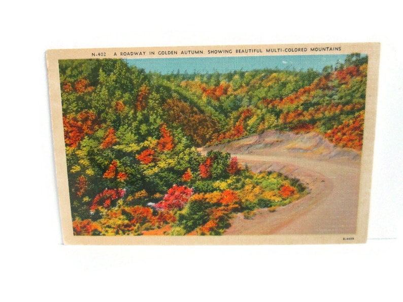 Vintage Linen Postcard A Roadway In Golden Autumn Showing Beautiful Multi Colored Mountains image 1