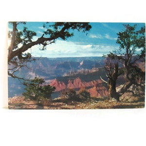 Vintage Arizona Postcard Grand Canyon National Park