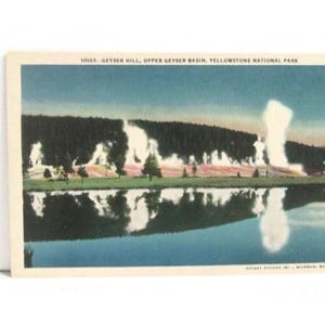 Vintage Linen Postcard Yellowstone National Park Geyser Hill. Upper Geyser Basin