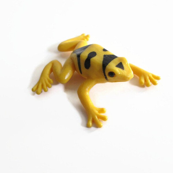 Yellow Poison Dart Frog Miniature Figure, Safari Ltd., Dendrobates Leucomelas