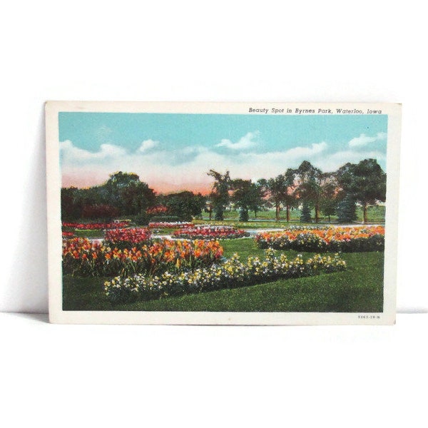 Vintage Waterloo Iowa Linen Postcard Beauty Spot in Byrnes Park