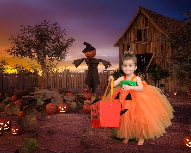 Pumpkin tutu dress and matching hairpiece size nb to 10years image 5