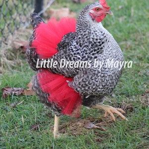 Red chicken tutu, christimas chicken tutu, valentine day chicken tutu