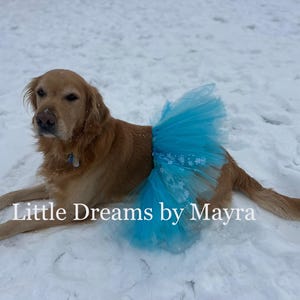 Winter land doggie tutu, snowflake tutu, frozen dog costume, Blue dog tutu
