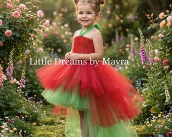 High low red and green tutu dress, nutcracker tutu dress, Baby tutu, Toddler tutu, Big girl tutu, small adult tutu dress, Christmas tutu