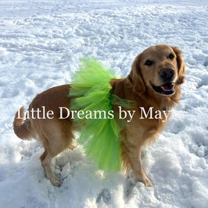 Dog tutu, St Patrick’s dog costume, leprechaun dog costume, Rainbow dog costume, St Patrick’s day dog tutu
