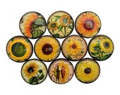 Set of 10 Sunflower Cabinet Knobs