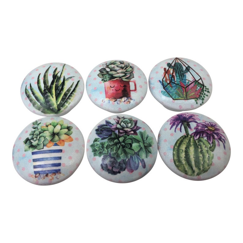 Download Set Of 6 Succulent Print Cabinet Knobs Knobs Pulls Home Improvement