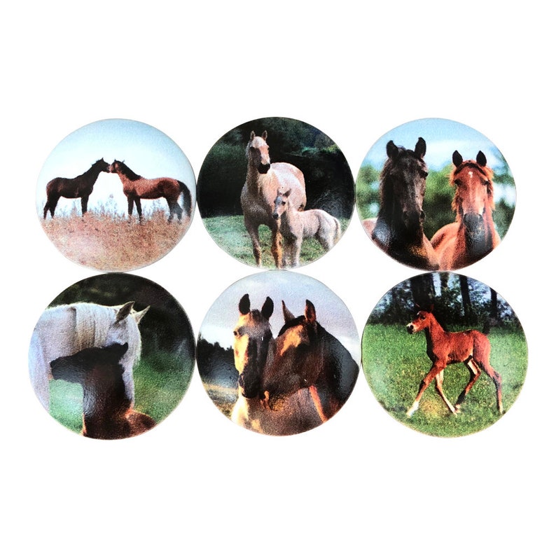Set of 6 For the Love of Horses Print Cabinet Knobs
