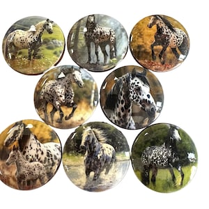 Western Cabinet and Drawer Knobs, Set of 8 Appaloosa Horse, Cabinet Knobs Drawer Knobs and Pulls, Kitchen Cabinet Knobs,