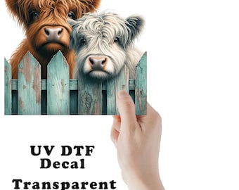 Blue Fence Highland Cow UV DTF Transparent Decal / Sticker You Choose Size