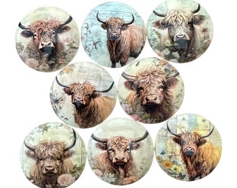 New Release Highland Cow Floral Cabinet and Drawer Knobs, Set of 8 Drawer Knobs and Pulls, Kitchen Cabinet Knobs