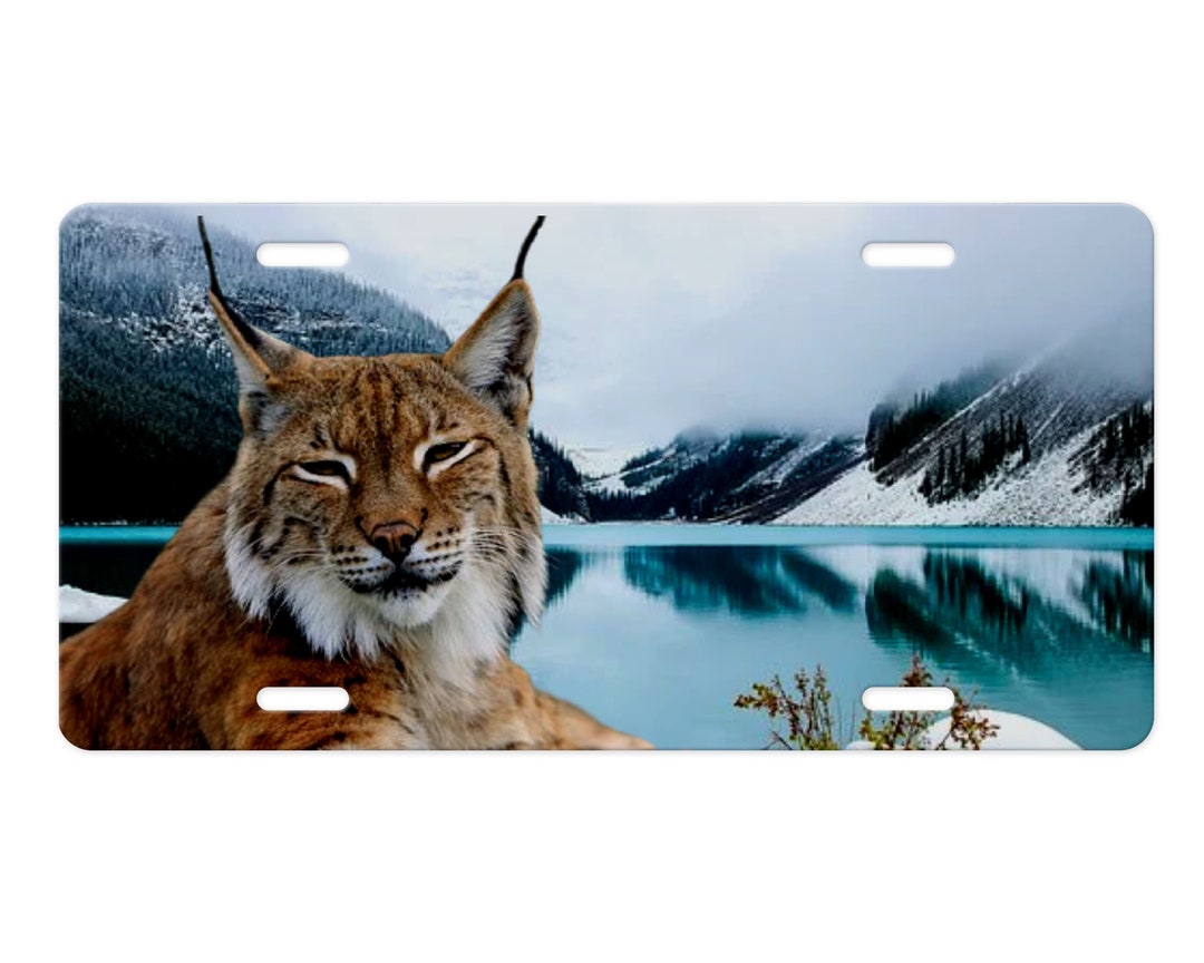 Bobcat at Lake Aluminum Vanity License Plate Etsy