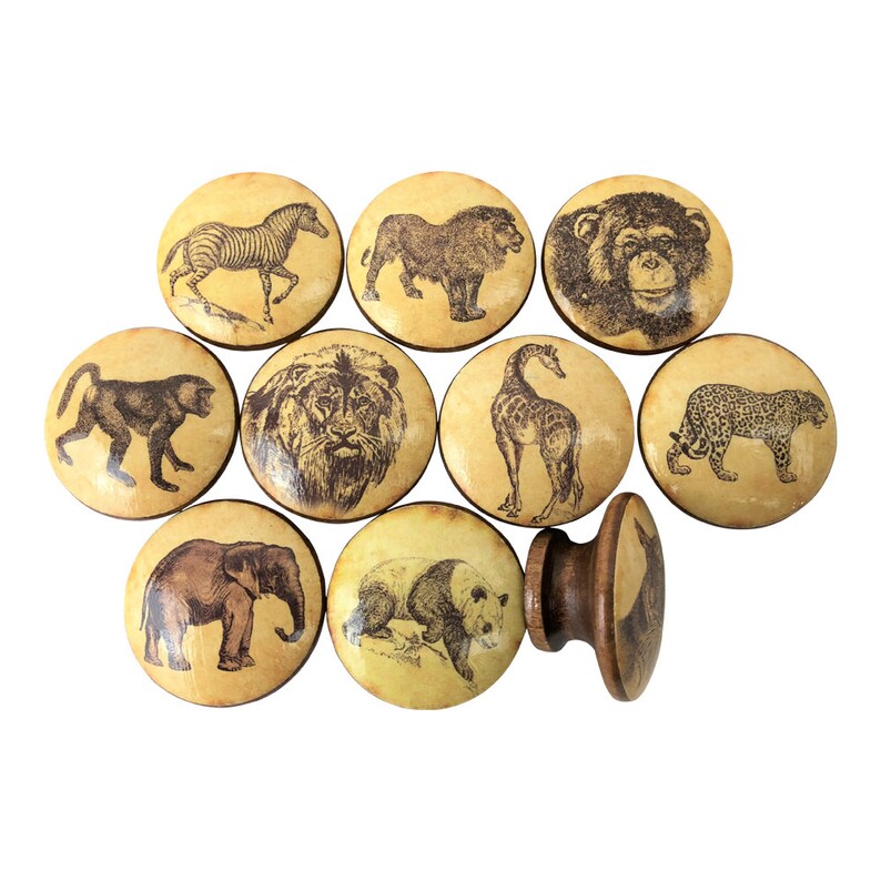 Set of 10 Vintage Safari Animals Knobs Etsy