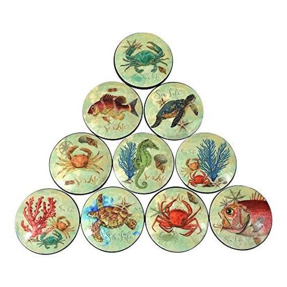 Set Of 10 Sealife Oversized 2 Dresser Drawer Cabinet Etsy