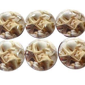Cabinet Knobs, Set of 6 Natural Seashells Wood Cabinet Knobs, Drawer Knobs and Pulls, Kitchen Cabinet Knobs