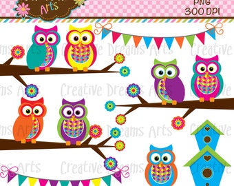 Color Owl Clipart Instant Download