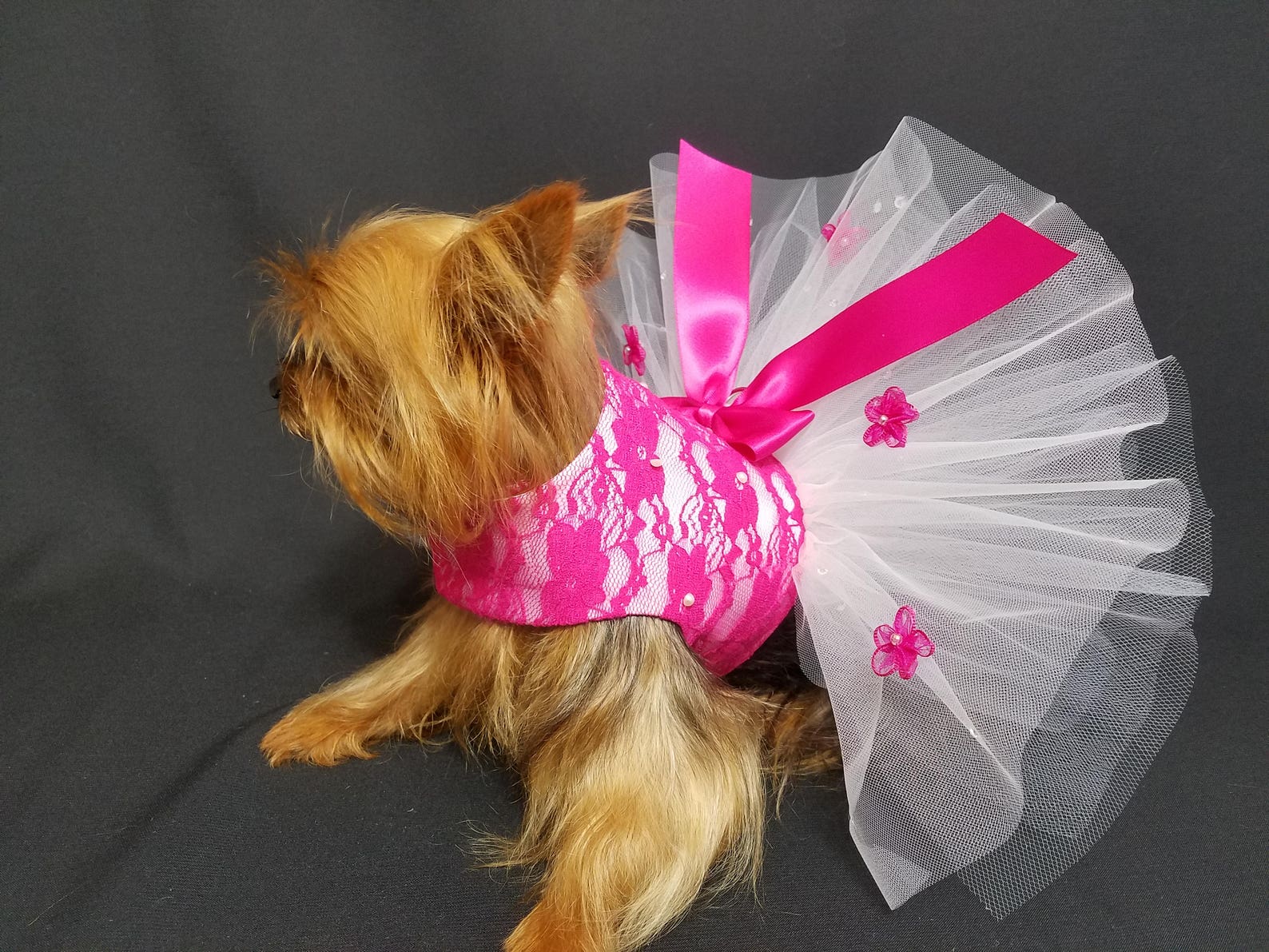 Fuchsia Lace Dog Harness Dress. XXSmall Dog Dress to 4XLarge Etsy