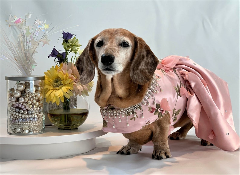 Dog Dress, Peachy Pink 3 D Flowers, Dog Tutu, Dog Harness Dress, Harness Dress, Pet Clothes, Pet Apparel. image 9