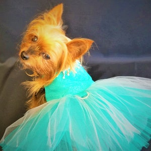 Teal Dog Dress, Dog Harness Dress, Dog Wedding Dress, Dog Tutu, Couture Dog Dress. image 7