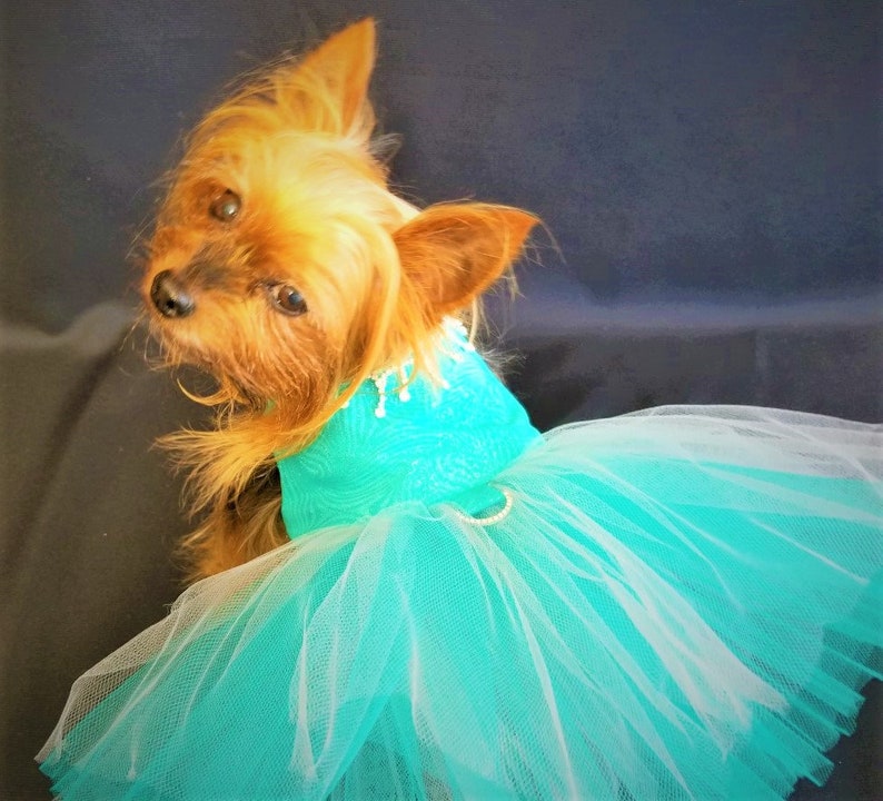 Teal Dog Dress, Dog Harness Dress, Dog Wedding Dress, Dog Tutu, Couture Dog Dress. image 7