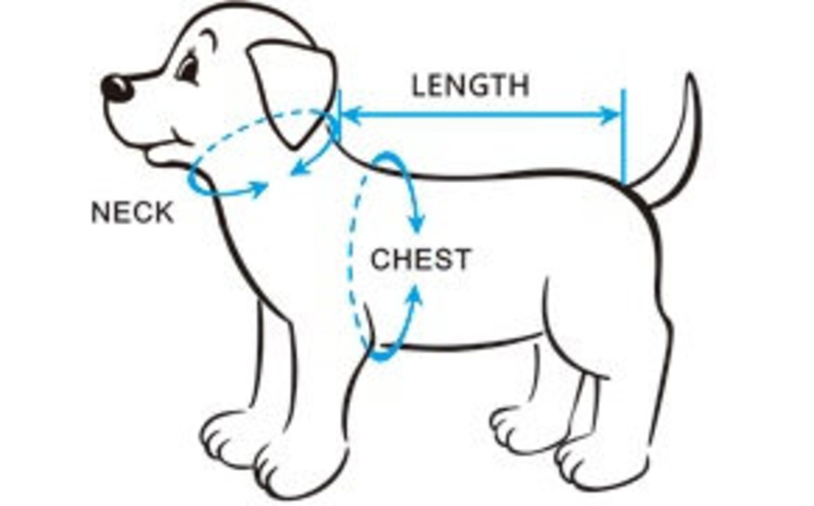 Dog Dress Cream Dog Dress Cream Harness Dress Dog Tutu Etsy