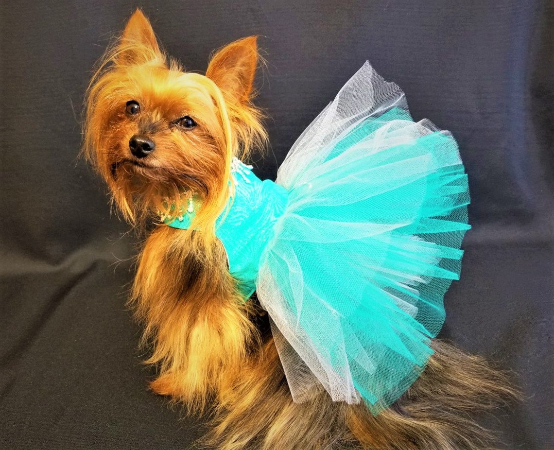 Teal Dog Dress Dog Harness Dress Dog Wedding Dress Dog Etsy