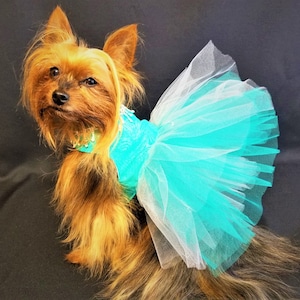 Teal Dog Dress, Dog Harness Dress, Dog Wedding Dress, Dog Tutu, Couture Dog Dress. image 6