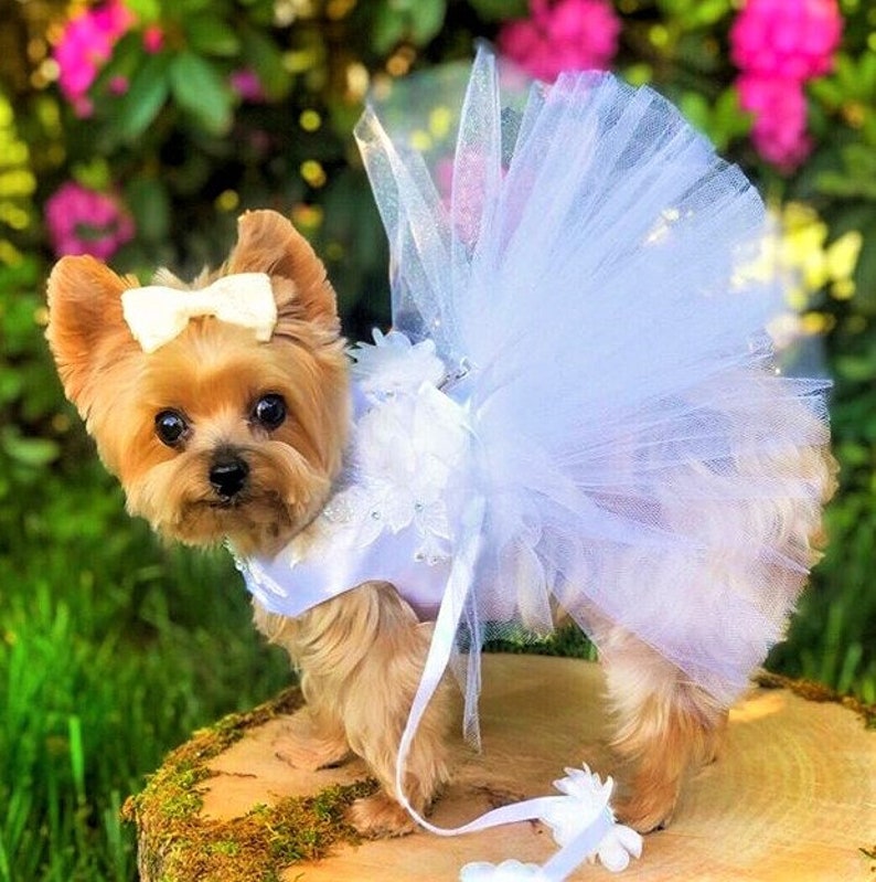 Dog Harness Dress 3D Flower Dog Dress Tutu Dog Dress White Etsy