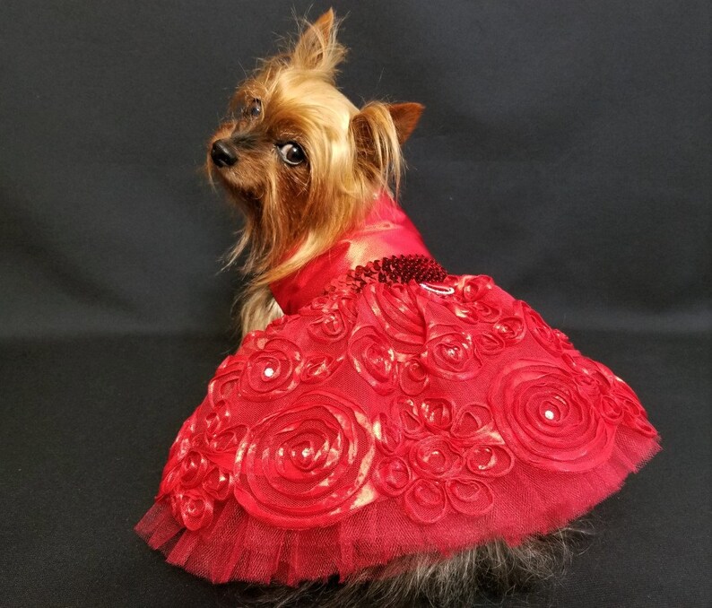 Red Swarvoski Dog Dress Red Dog Harness Dress Red Dog Tutu Etsy