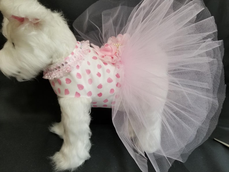 Pink Puff Dog Harness Dress XXSmall Dog Dress to X4 Large Dog Dress, Dog Dresses. Dog Clothes, Pink Dog Dress, Designer Dog Dress. image 5
