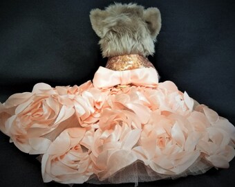 rose gold dog dress Luxury design dog dress velvet rose 2 colors – Jane's Pet Boutique main image 0