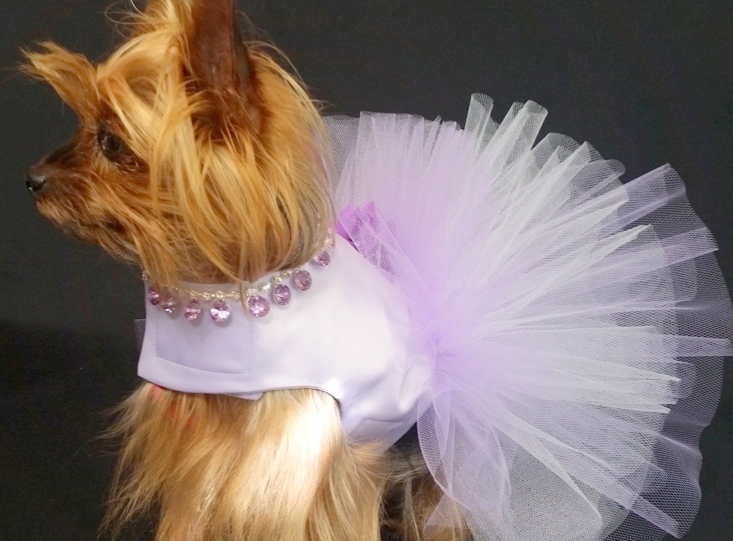Purple Dog Dress Dog Tutu Dog Harness Dress Wedding Dress Etsy
