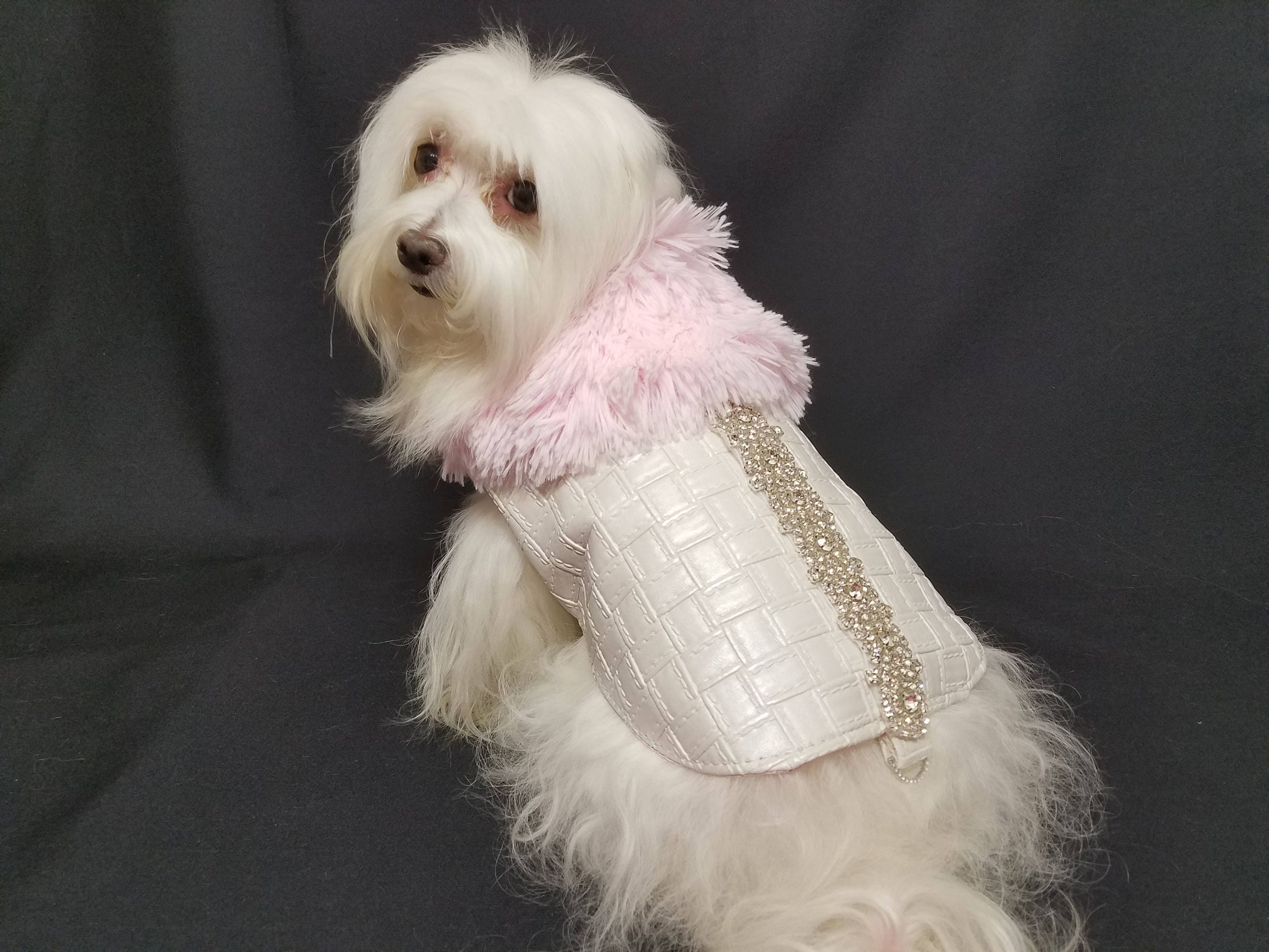 Louie Designer Dog Coat For Winter