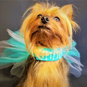 Teal Dog Dress, Dog Harness Dress, Dog Wedding Dress, Dog Tutu, Couture Dog Dress. image 4