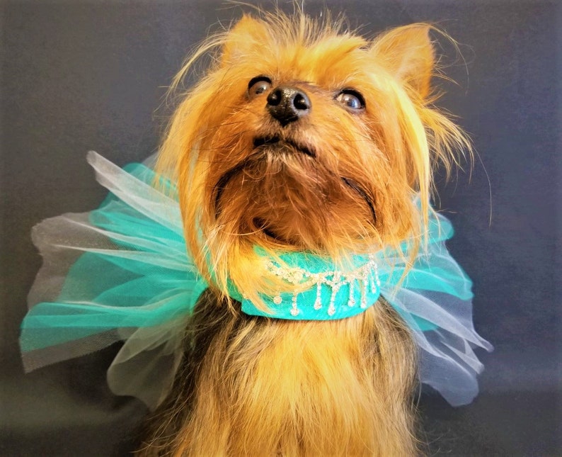 Teal Dog Dress, Dog Harness Dress, Dog Wedding Dress, Dog Tutu, Couture Dog Dress. image 4