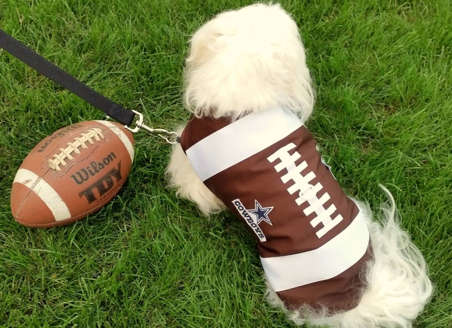 Boy Football Dog Harness Vest Football Harness Brown Dog Etsy