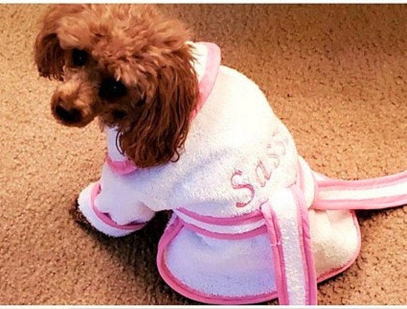Personalized Girl Dog Bathrobe Canine Bathrobe Dog Bathrobe Etsy